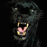 ◄◄Killer_instinct►►