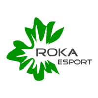 ROKA eSport 1