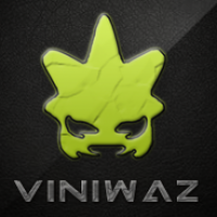 Team Viniwaz - Line up #2