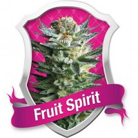 Fruit Spirit