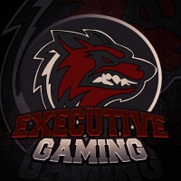 eXecutive Gaming