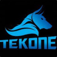 TekOne