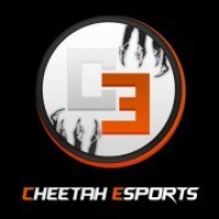 Cheetah Gaming