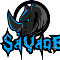 s4vage