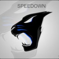 SPEEDOWN